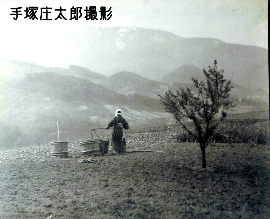 春　入舟町、奥沢町境付近